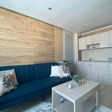 Paradiso 'в' 201 One Bedroom Daire Misivri